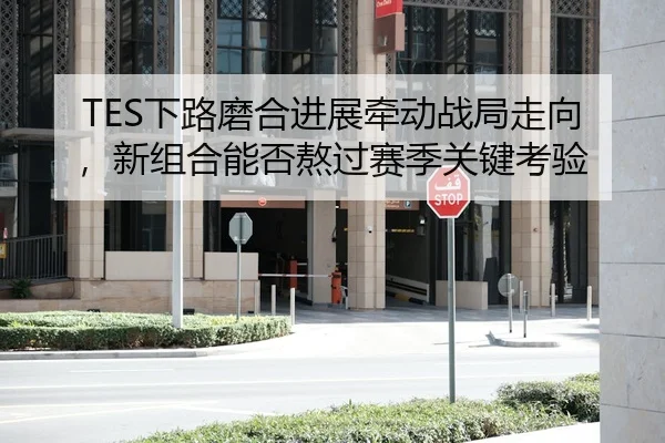 TES下路磨合进展牵动战局走向，新组合能否熬过赛季关键考验